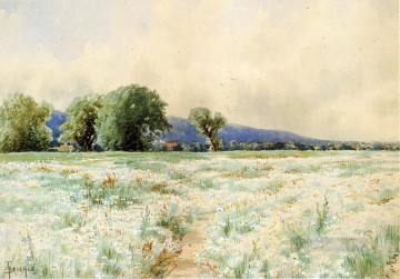  Thompson Pintura - El campo de las margaritas Alfred Thompson Bricher